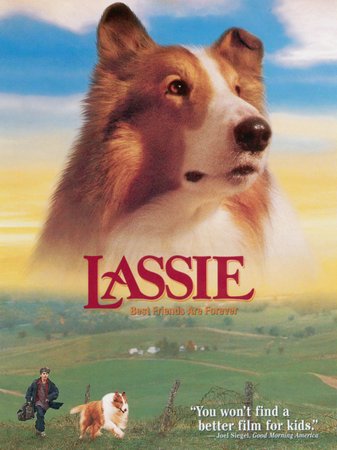 Lassie, Helen Slater,Jon Tenney,Frederic Forrest,Richard Farnsworth,Brittany Boyd,Joe Inscoe,Yvonne Brisendine,Jody Smith Strickler,Margaret Peery,Michelle Williams
