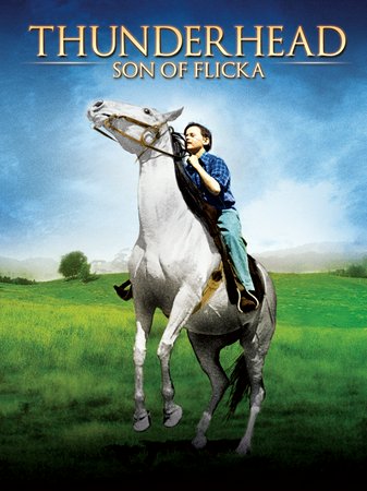 Thunderhead---Son of Flicka, Roddy McDowall,Preston Foster,Rita Johnson,James Bell,Diana Hale,Carleton Young,Ralph Sanford,Robert Filmer,Alan Bridge,Preston S. Foster
