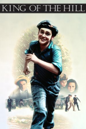 King of the Hill, Jesse Bradford,Karen Allen,Lisa Eichhorn,Spalding Gray,Cameron Boyd,Elizabeth McGovern,Adrien Brody,Joseph Chrest,Chris Samples,Katherine Heigl