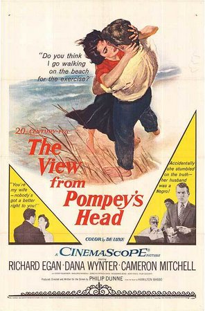 The View from Pompey's Head, Richard Egan,Dana Wynter,Cameron Mitchell,Sidney Blackmer,Marjorie Rambeau,Dorothy Patrick Davis,Rosemarie Bowe,Jerry Paris,Ruby Goodwin,Pamela Stufflebeam
