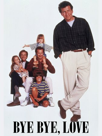 Bye Bye, Love, Matthew Modine,Randy Quaid,Paul Reiser,Janeane Garofalo,Rob Reiner,Amy Brenneman,Eliza Dushku,Ed Flanders,Maria Pitillo,Lindsay Crouse