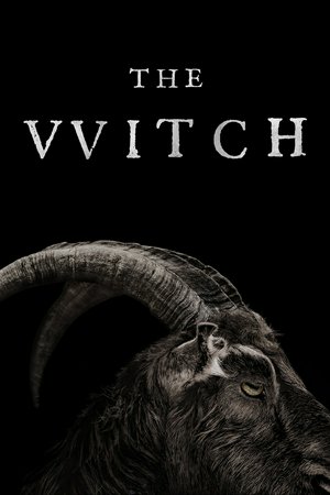 The Witch, Anya Taylor-Joy,Ralph Ineson,Harvey Scrimshaw,Ellie Grainger,Lucas Dawson,Julian Richings,Bathsheba Garnett,Daniel Chaudhry,Viv Moore,Karen Kaeja