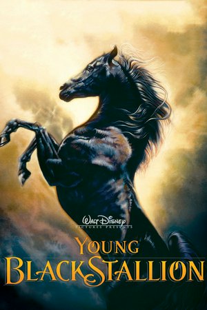 The Young Black Stallion, Biana Tamimi,Richard Romanus,Patrick Elyas,Ali Al Ameri,Andries Rossouw,Gérard Rudolf,Tracy Campbell