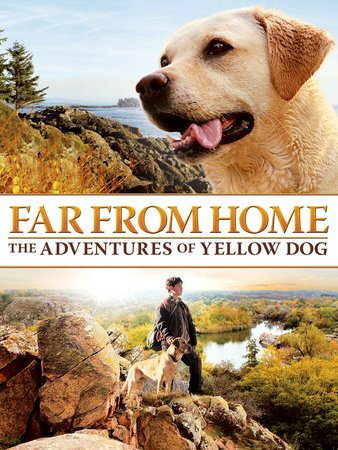 Far From Home: The Adventures of Yellow Dog, Mimi Rogers,Bruce Davison,Jesse Bradford,Tom Bower,Joel Palmer,Josh Wanamaker,Margot Finley,Dakotah,Matt Bennett,St. Clair McColl