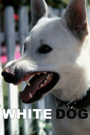 White Dog, Kristy McNichol,Paul Winfield,Burl Ives,Jameson Parker,Lynne Moody,Marshall Thompson,Bob Minor,Vernon Weddle,Christa Lang,Tony Brubaker