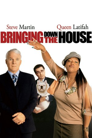 Bringing Down the House, Steve Martin,Queen Latifah,Eugene Levy,Joan Plowright,Jean Smart,Kimberly J. Brown,Angus T. Jones,Missi Pyle,Michael Rosenbaum,Betty White