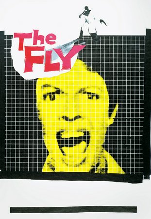 The Fly, David Hedison,Patricia Owens,Vincent Price,Herbert Marshall,Kathleen Freeman,Betty Lou Gerson,Charles Herbert,Eugene Borden,Torben Meyer,Harry Carter